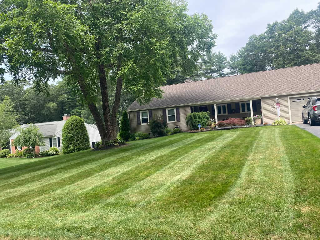 Landscaping Maintenance